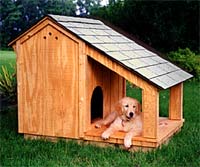 Building a Dog House